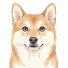 初然忆